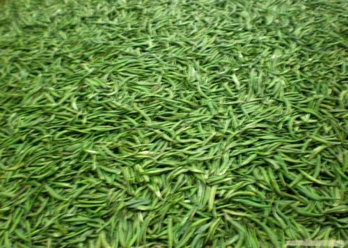 竹叶青茶叶产于哪些地方