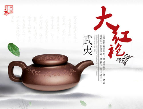 红袍村武夷岩茶