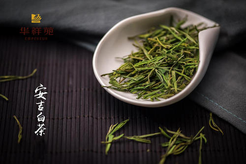 安吉白茶属于绿茶还是白茶