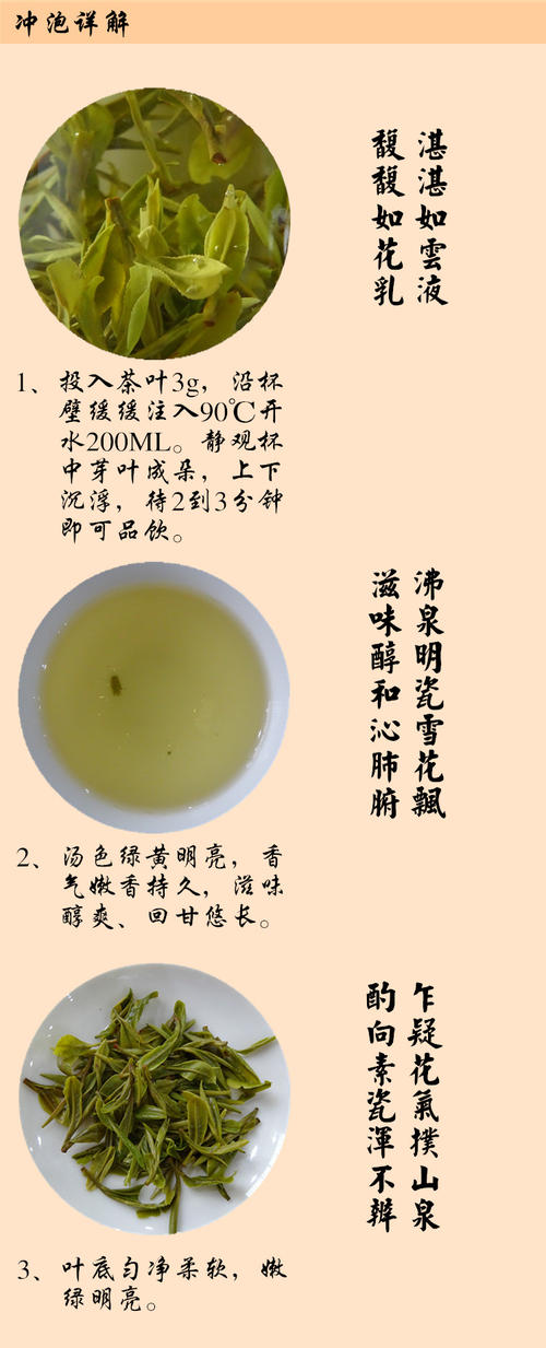 敬亭绿雪茶品牌好