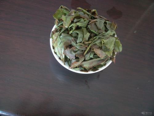 凤凰单丝茶是什么茶