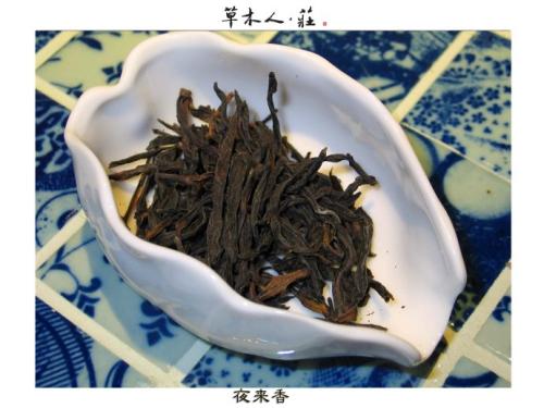 单株凤凰水仙茶是什么茶
