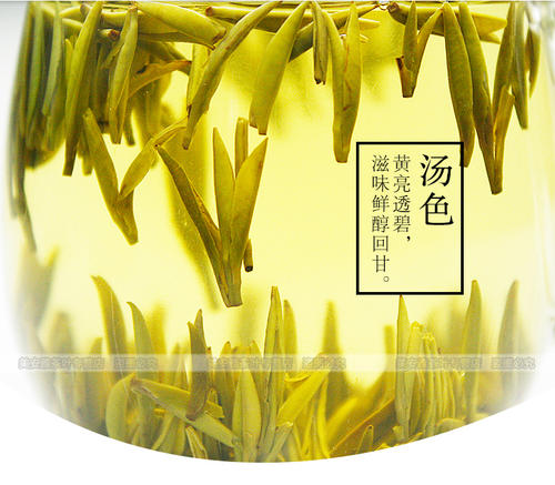 蒙顶黄芽的原产地是四川省
