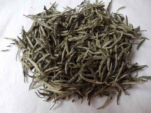 福鼎大白茶茶籽种植方法