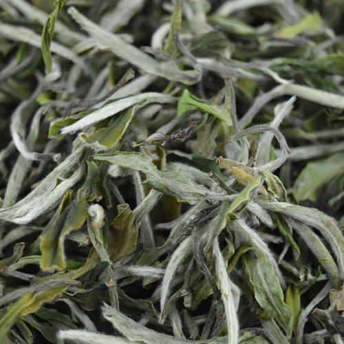 贡眉白茶饼怎么泡