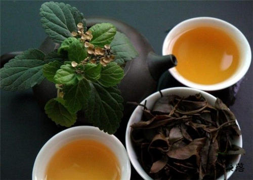 安化松针茶品质特征